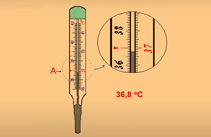 Rút và đọc kết quả hiển thị trên nhiệt kế