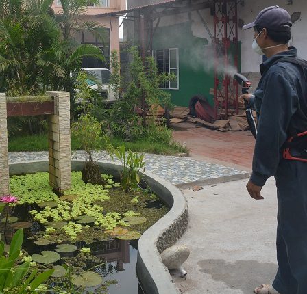 Nhân viên môi trường quận Thanh Xuân (Hà Nội) phun thuốc diệt muỗi chống sốt xuất huyết. Ảnh: Sở Y tế Hà Nội